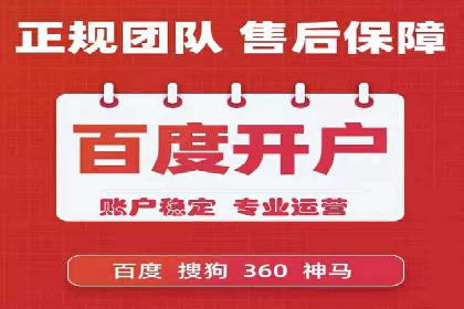 SEM运营推广策略：成功案例解析